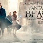 Fantastic Beasts Roaming At Rock Island Library