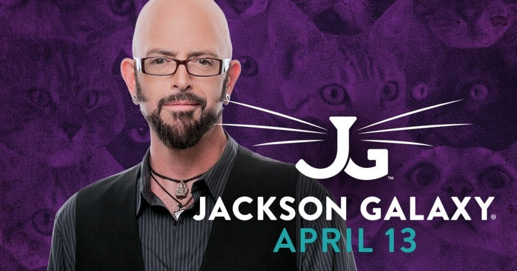 Get Your Cat Mojo On With Jackson Galaxy Quad Cities >