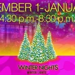 Spend Your Winter Nights Under the Winter Lights