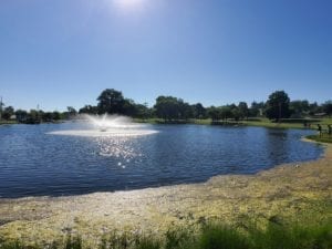 QCScene at Moline’s Youth Fishing Challenge