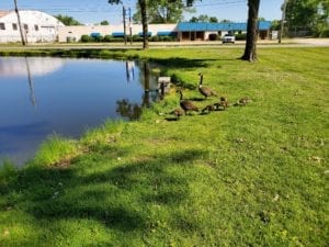 QCScene at Moline’s Youth Fishing Challenge