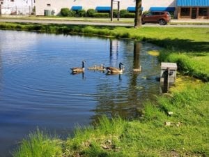 QCScene at Moline’s Youth Fishing Challenge