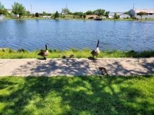 QCScene at Moline’s Youth Fishing Challenge