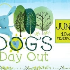 It’s Time for A Dog’s Day Out!