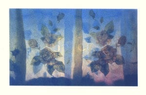 Christopher Reno and Rene Meyer Ernst Artworks at Quad City Arts