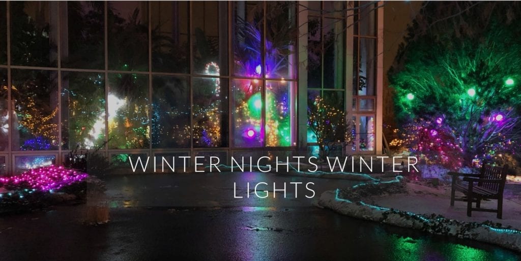 Winter Nights Winter Lights Lighting Up Rock Island's Quad City Botanical Center Quad
