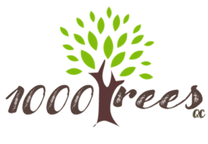 What’s The Good News For February?