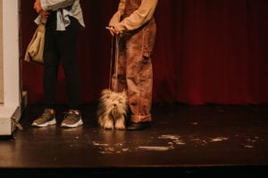 Junior Theater's 'Wizard of Oz' Drops This Weekend