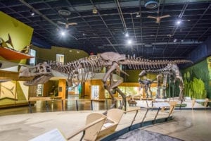 Take a Trip to the Museum With a Virtual Tour