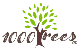 Quad-Cities Celebrates Earth Week By Planting 1000 Trees