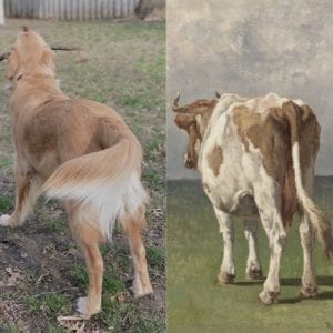 Bored At Home? Recreate A Famous Painting With Davenport's Figge Museum