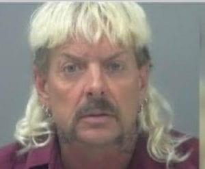 Why Are 'Tiger King' And 'Last Dance' So Popular During Covid? The Answer Might Surprise You