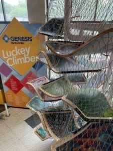 Family Museum Completes Installation of Luckey Climber, Opens To Public On Friday.