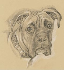 Welcome To The QuadCities.com Virtual Art Gallery!