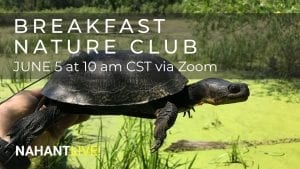 Enjoy Some Breakfast With Nahant Marsh