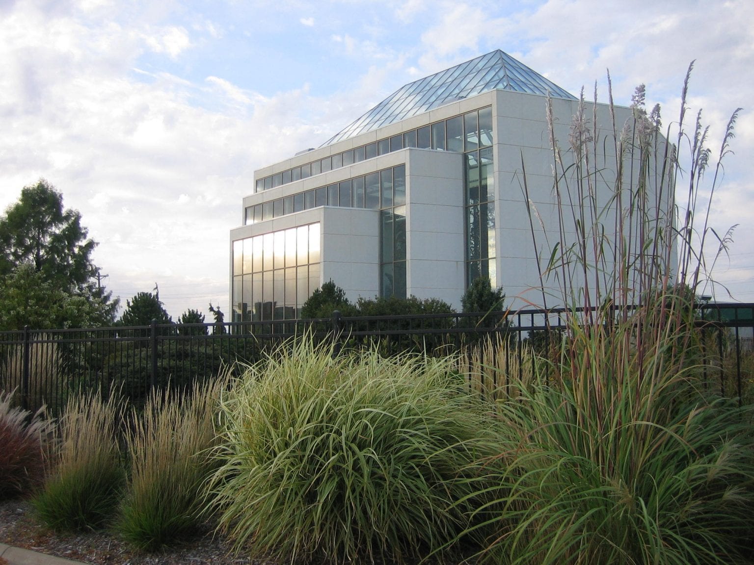 Looking To Brighten Up Your Home With Some Plants? Check Out Quad City