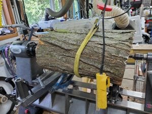 Bettendorf Wood Artist Sees Opportunity In Downed Trees