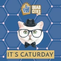 Got A Cute Kitty? Get Your Feline Featured On QuadCities.com!