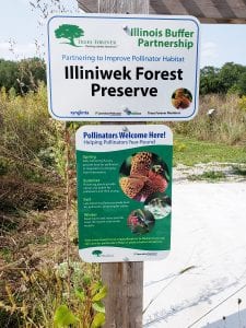 Master's Degree Project by WIU Alumnus Attracts Endangered Bee Species