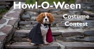 Howl-O-Ween Costume Contest