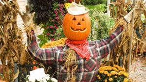 Have Some Scarecrow Sunday Funday!