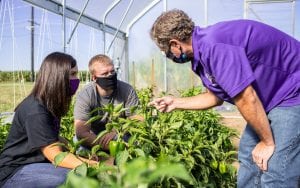 WIU Ag Professor Studying High Tunnel Impact on Crop Growing Season
