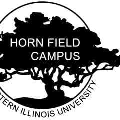Horn Field Campus Opens its Corn Maze with October Hours