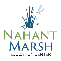 Winter Beekeeping Class Series for Beginners Buzzing In At Nahant Marsh