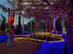 Winter Nights Winter lights illuminating the Quad City Botanical Center on Rock Island