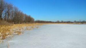 Enjoy A Beautiful Day At Nahant Marsh And Learn About Nature