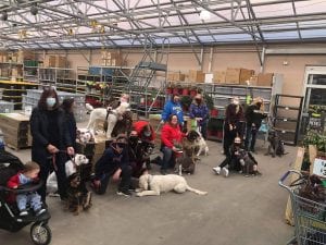 Music With Ariel, Fun With Pets, Watercolor Workshops And More In Your FUN10!