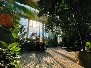Quad City Botanical Center Poised to Grow Again In a Busy 2021