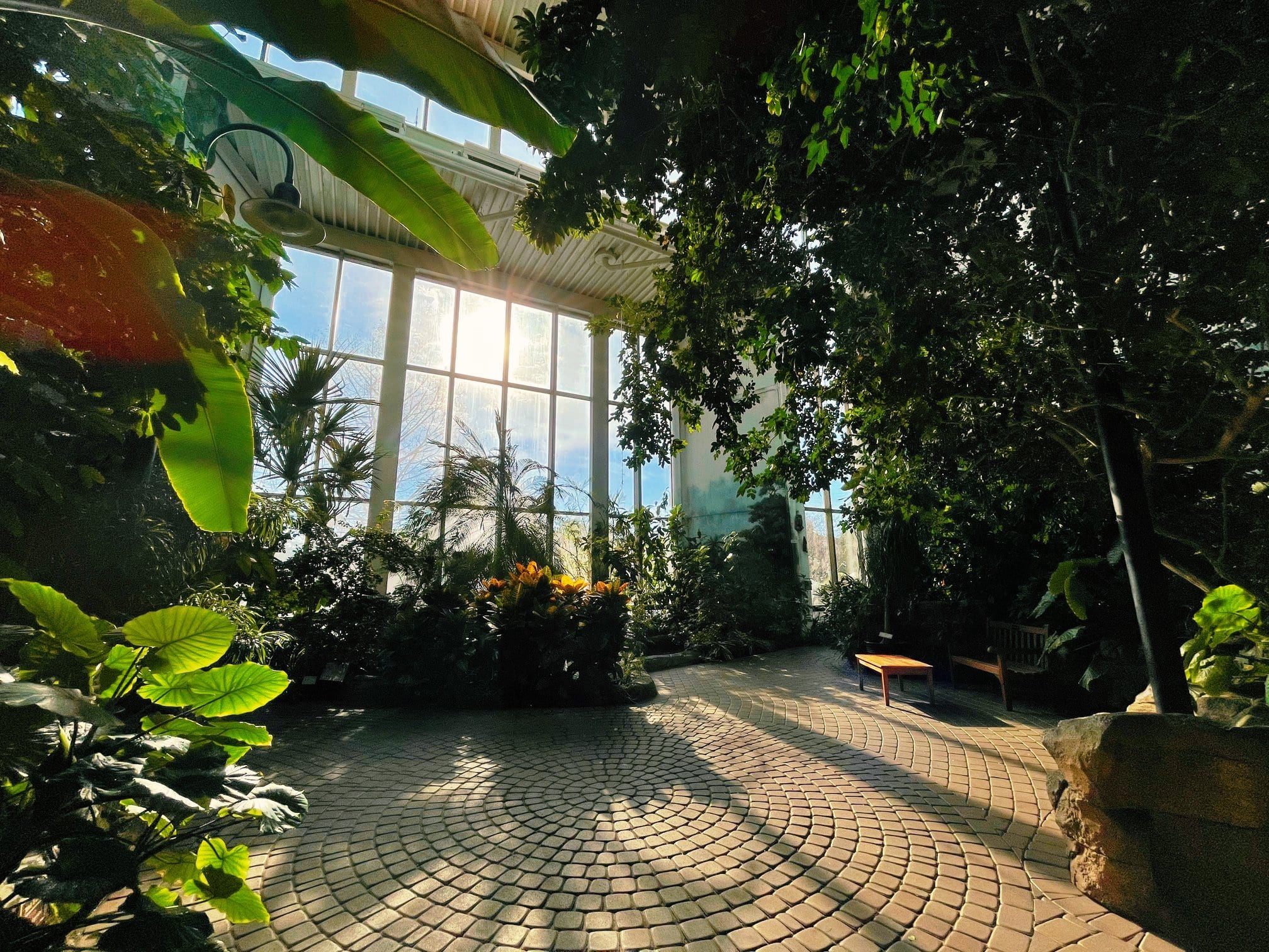 Quad City Botanical Center Poised to Grow Again In a Busy 2021 Quad