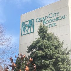 Quad City Botanical Center Is Allowing Guests To Pay What They Want This Week