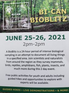 Celebrate BioDiversity At Illiniwek Forest Preserve This Weekend