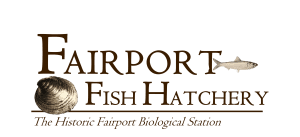 Iowa DNR Education Grant Awarded For Fairport Fish Hatchery
