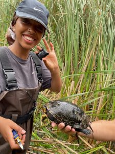 Nahant Marsh Summer Interns Present Findings to Public