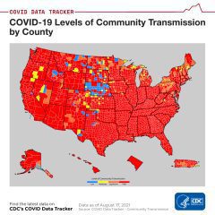 BREAKING: Illinois Covid Numbers Soar Into Red AGAIN, Nearing Shutdown Triggers?