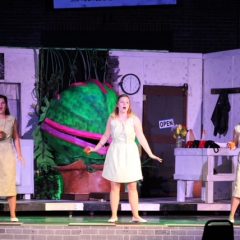 Spotlight Theatre Sprouting Up 'Little Shop Of Horrors' This Weekend