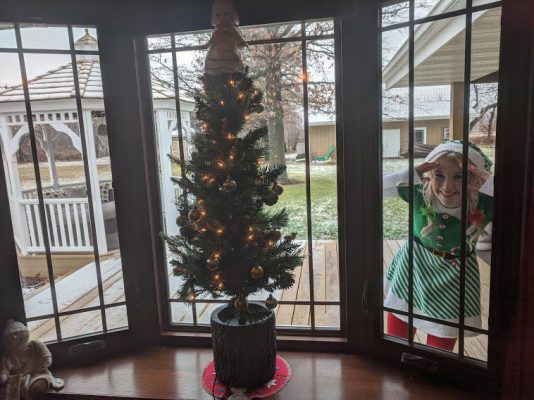 Characters2Life Presents Quad Cities Holiday Helpers