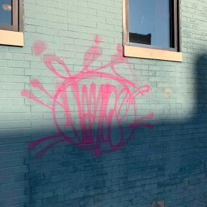 Rock Island's Blue Cat Turning Vandalism Into Street Art