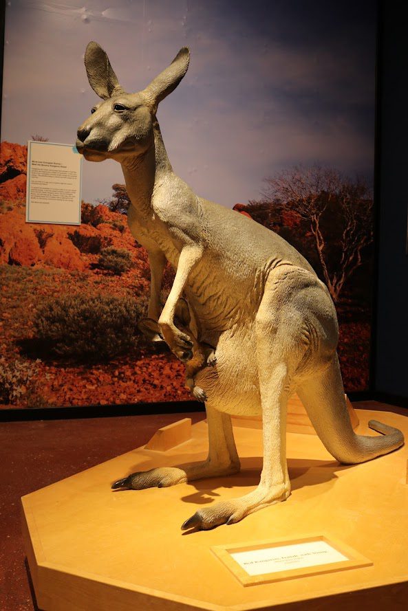 Explore Illinois And Iowa Museums During QuadCities Museum Week! Quad