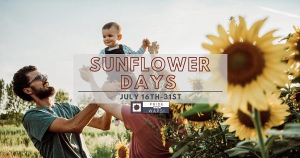 Love Sunflowers? Iowa Hosting Fun Outdoor Event, Sunflower Days, In Long Grove July 16