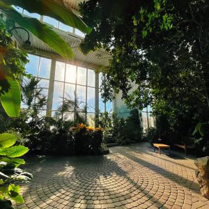 Botanical Center Seeking Storytellers to Feature in New Plants of the World Exhibit