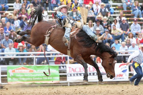 Whiteside County Fair Continues Through The Weekend With Bronc Riding And More!