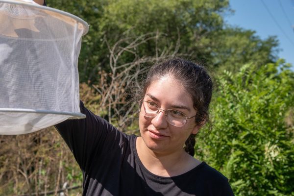 Western Illinois University Student Conducts West Nile Research in McDonough County