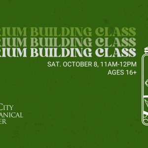 Terranium Building Class Offered October 8