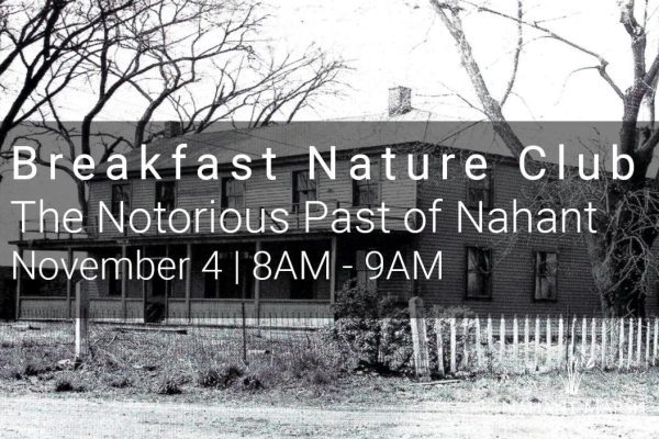Breakfast Nature Club Highlights Nahant Marsh November 4