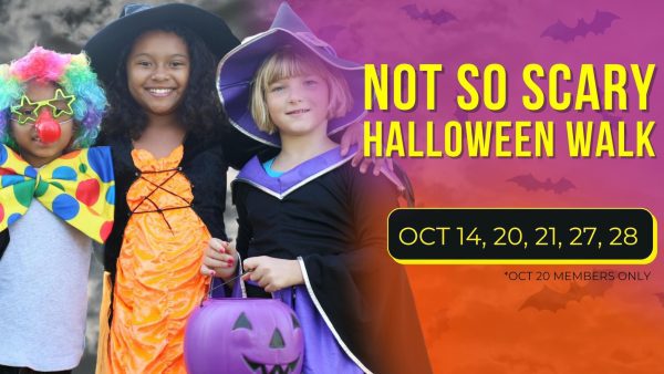 Not So Scary Halloween Walk Celebrates 7 Years