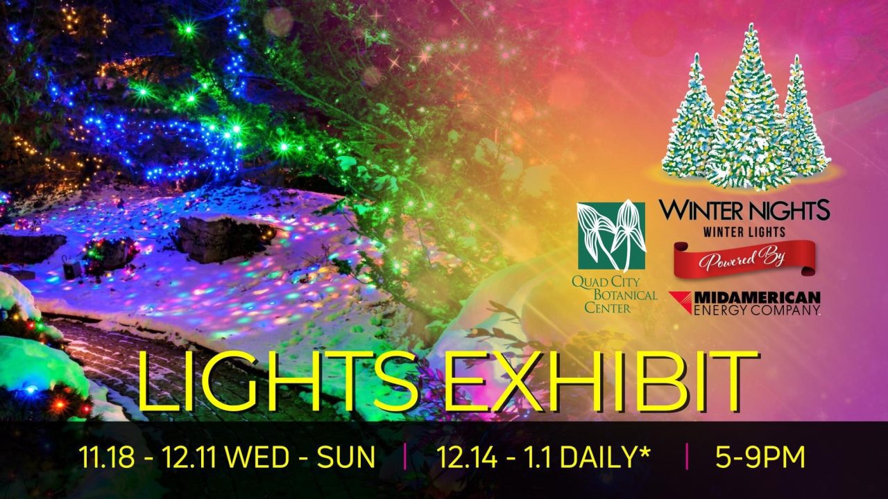 Winter Nights Winter Lights Sparks to Life In Rock Island Quad Cities